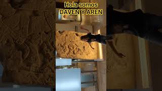 DAVEN Y AREN - 73 - #familia #hermanos #juega #viajes #explora #aventura #conocemexico