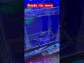 Ready to move 8218672972 #exoticaquariumfish #fishaquarium