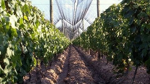 من أجمل التلاوات وأعذبها حقا لاتوصف أجمل ما سمعت