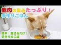 【簡単手作り犬ご飯】鹿肉の旨みたっぷり！手作りごはん【帝塚山ハウンドカム】