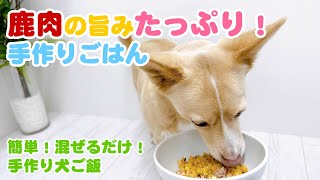 【簡単手作り犬ご飯】鹿肉の旨みたっぷり！手作りごはん【帝塚山ハウンドカム】