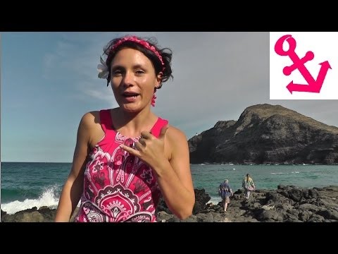 Video: Fahrt entlang der Nordküste von Oahu