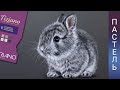 Как нарисовать кролика или зайца пастельными карандашами 🐇Спидпейнт урока рисования