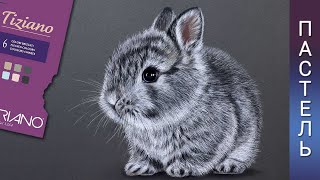 Как нарисовать кролика или зайца пастельными карандашами 🐇Спидпейнт урока рисования