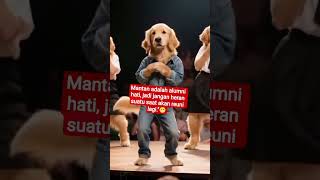 Animals lucu#funny #viral #animals #shorts