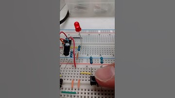 Optical Heart Rate Monitor