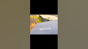 Secret date 🌹 michaeng always ♥️ #michaeng #mina #chaeyoung #twice #fyp #subscribeformore 💕🎈🌹♥️