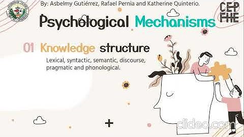 Psychological mechanisms -  Knowledge structure, serial and parallel processing