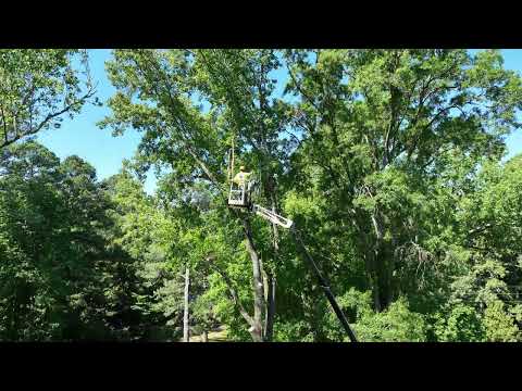 Athens, GA -