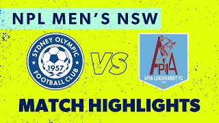 NPL Men's NSW Round 30 Highlights – Sydney Olympic v APIA Leichhardt FC