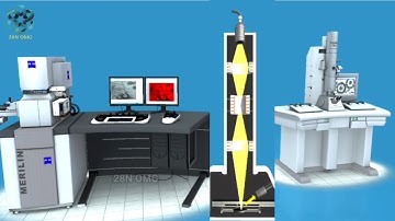 How do Electron Microscopes (Scanning) Work in 3D ? The Scanning Electron Microscope | 3D Video