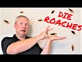 The ONLY Way to Get Rid of ROACHES -- Tenant Left Cockroaches, Landlords Don't Make These Mistakes!!
