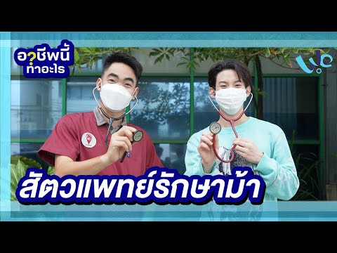 วีดีโอ: แนวทางแบบองค์รวมทางเลือกสำหรับสัตวแพทยศาสตร์และการรักษาสำหรับม้าและสัตว์ขนาดใหญ่