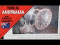 10kw hydro electric generator power plant DIY