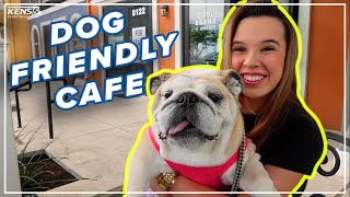This dogfriendly café in San Antonio helps boost other local businesses