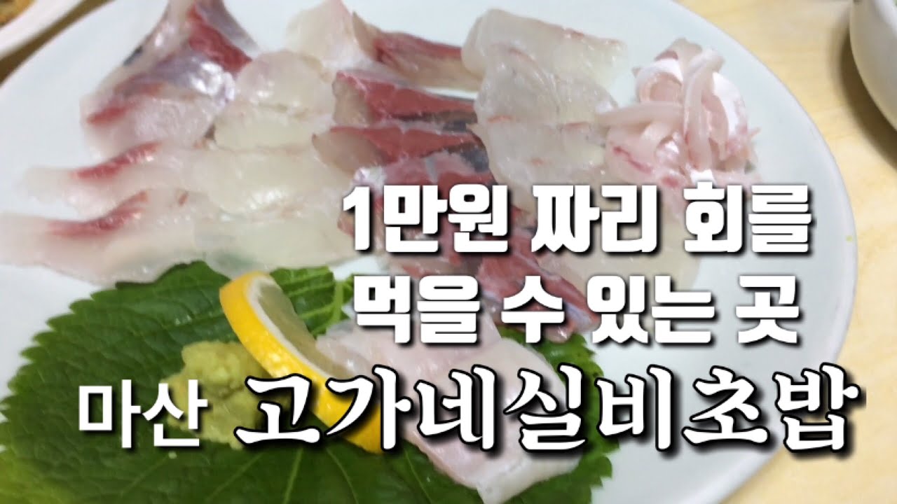 1만원 생선회를 먹을 수 있는 마산 고가네초밥실비 - Youtube