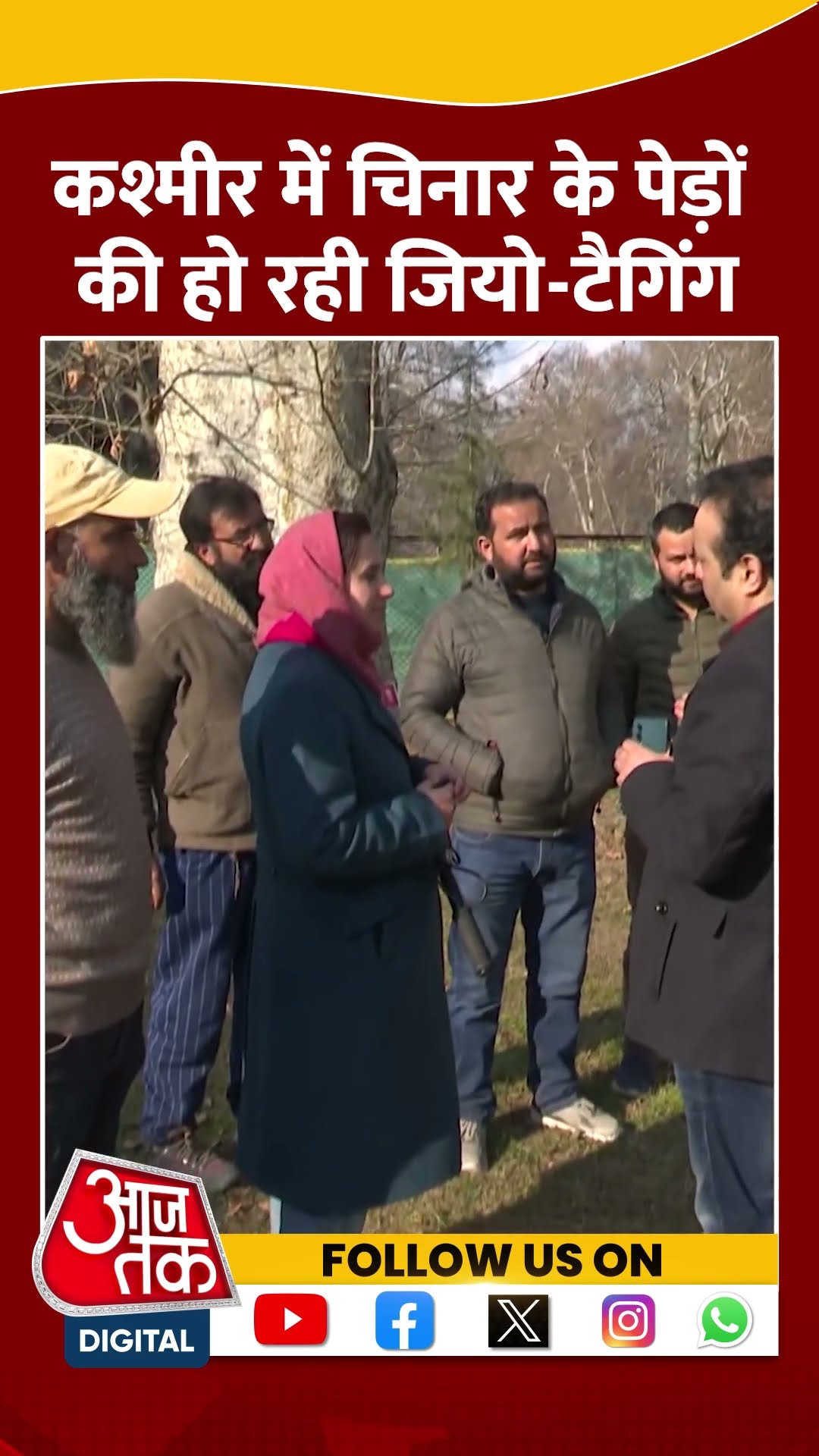 Kashmir में चिनार के पेड़ों की हो रही Geo-Tagging #shorts #viral #shortvideo #jammuandkashmir