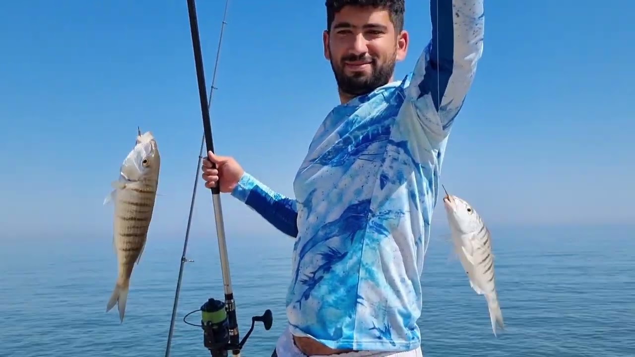 MIRMIR  TARLASI  HER YERDE  MIRMIR BALIK AVI MERSİN