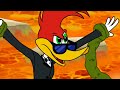 Woody goes undercover | Woody Woodpecker