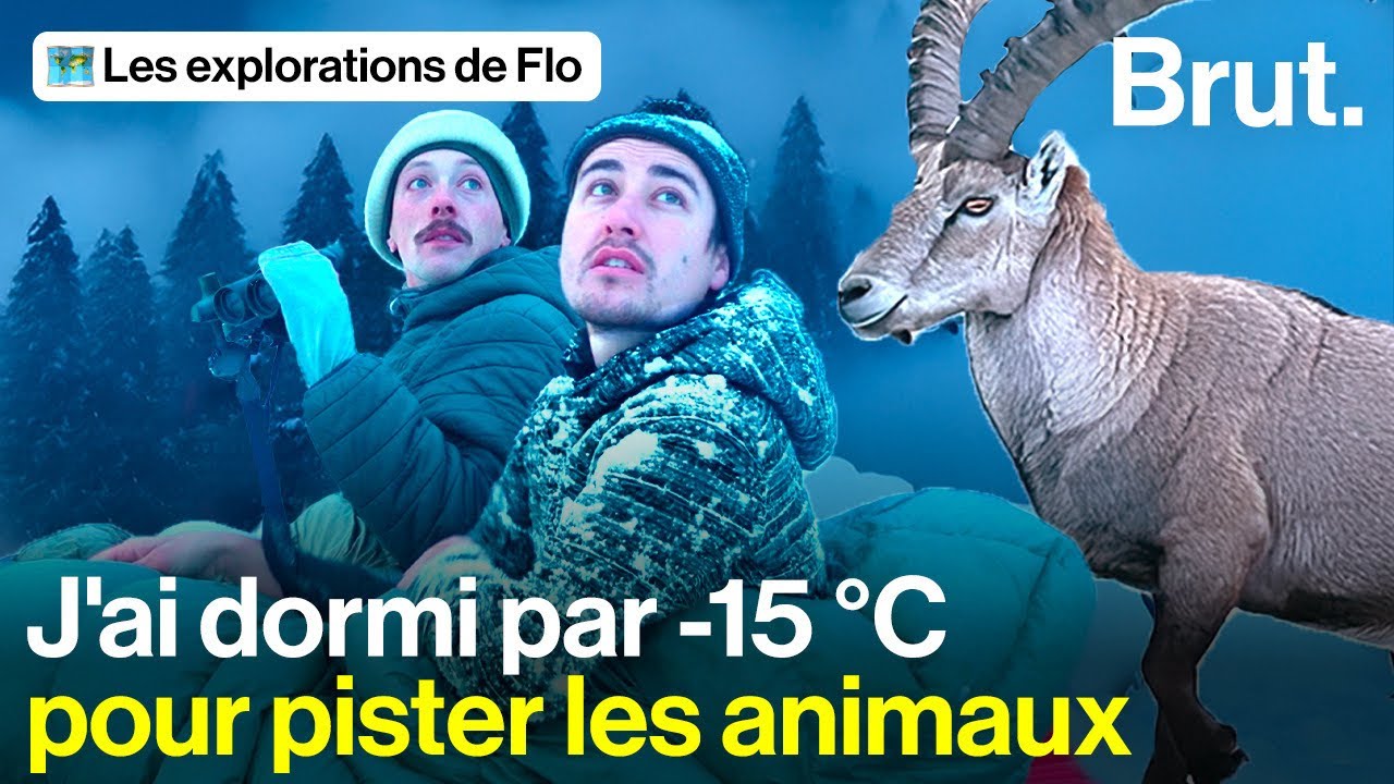 Avec le photographe des neiges sur les traces du roi de la montagne