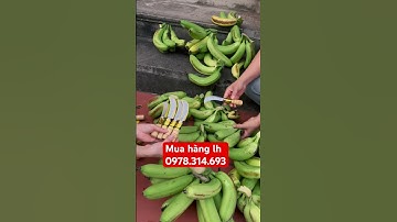 💥DAO CẮT NẢI CHUỐI.lh 0978.314.693