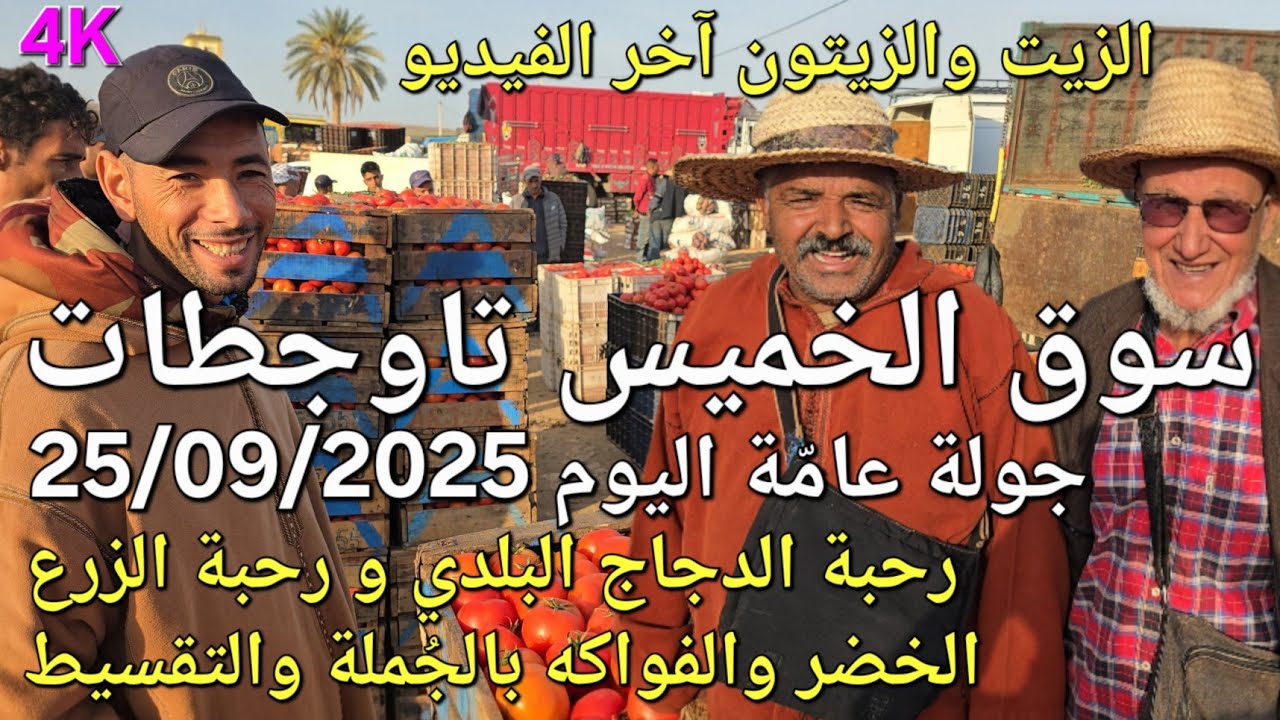 أثمنة الزيتون واللحوم والدجاج والخضر سوق الخميس عين تاوجطات اليوم 25/09/2025