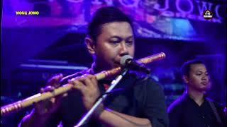 wong jowo - oplosan - DHEHAN AUDIO live banjangan