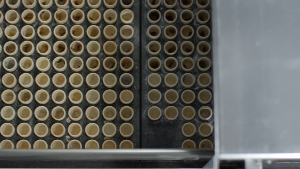 Automatic weighing machine