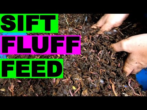 55 Gallon Compost Worm Bin- Full REVIEW