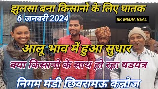 6 जनवरी 2024/आलू में हुआ सुधार आवक रही कम झुलसा बना किसानो के लिए घातक निगम मंडी छिबरामऊ कन्नौज