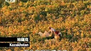公共電視 PTS 搶救地球23 2011 0303 2200