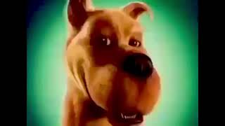 Snort Scooby Snacks