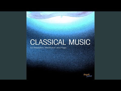 Ludwig van Beethoven - Piano Sonata 09 opus 14: IV (4th part)