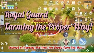 RAGNAROK ORIGIN - ROYAL GUARD - GUIDE - FARMING screenshot 2