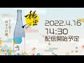 【涌谷町】涌谷町黄金大使・安野希世乃さんがプロデュースして2年目!令和3年産の純米大吟醸「稀世」お披露目会生配信(アーカイブ)@わくや天平の湯