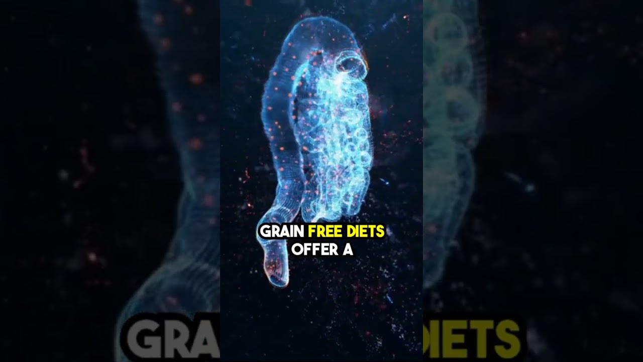 GRAIN FREE PET FOOD #heartworm #heartwormdisease #dog #cat #catcare #mycat #animal #short GRAIN FREE PET FOOD #heartworm #heartwormdisease #dog #cat #catcare #mycat #animal #short