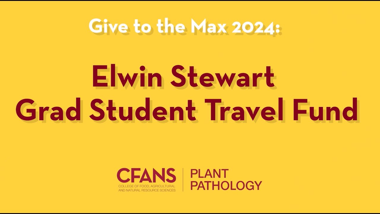 Elwin Stuart Give to the Max 2024: Elwin Stewart Grad Student Travel Fund - YouTube