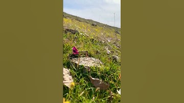 #abdulrahmanmossad #foryou #nature #beautiful #سورة #الأنفال #mountains #اسلام_صبحي
