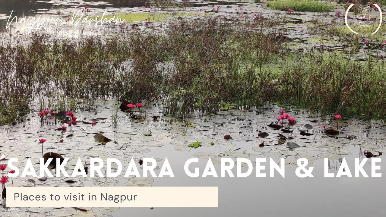Sakkardara Lake & Garden | Places to visit in Nagpur | Gardens of Nagpur | Travel Nagpur - YouTube