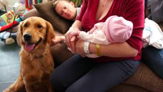 Summer Puppy Meets New Baby, Sofia