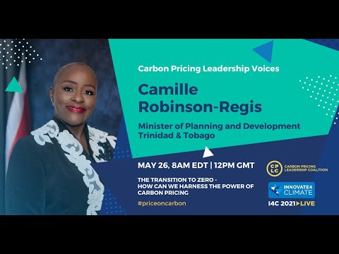 camille robinson regis biography channels