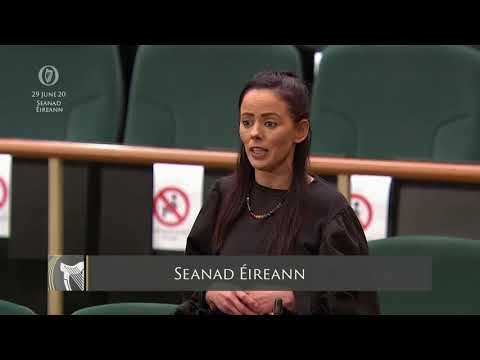 Senator Eileen Flynn - speech from 29 Jun 2020