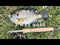 MASSIVE BLUEGILLS CAUGHT ON FLY ROD!