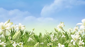 تلاوة  سورة النجم من القرآن الكريم بصوت القارئ أبو الكرم ابراهيم انفلوس