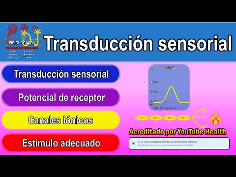 Video: ¿Qué tiene de especial la transducción?