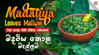 Red Bead Tree Leaves Mallum Madatiya Leaves Malluma මදටය කළ මලලම Cuisine Of Sri Lanka