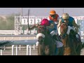 RM 41 Al Rayyan Race 3-   Qatar Gold Sword and Trophy(Div1)
