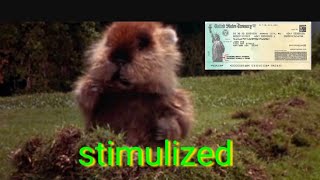 Stimulus check update/gopher gets paid/to funny