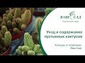 🌵 Уход и содержание пустынных кактусов дома. Советы от Ваш Сад