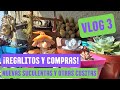 VLOG 3: nuevas Suculentas y otras cositas para mi departamento